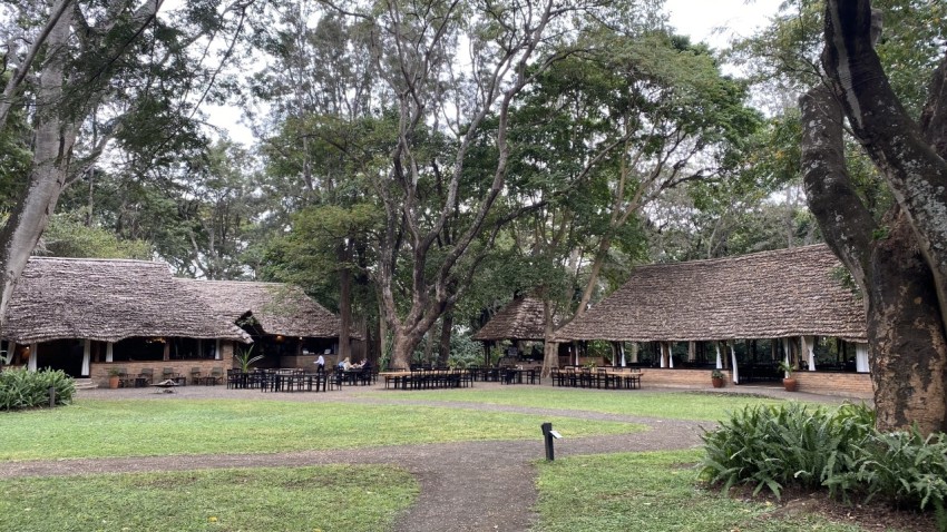 Beautiful garden restaurant