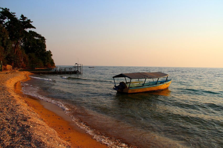 Shore of Lake Tanganyika in Gombe National Park - Tanzania
