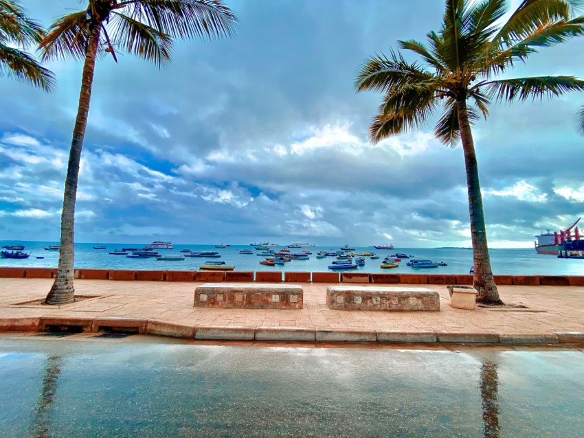 The historical coast - Forodhani Beach, Zanzibar through my lens