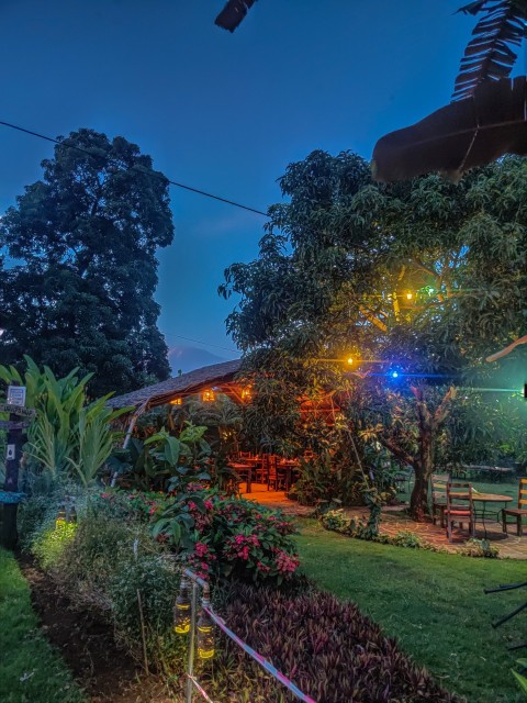 Maembe Garden - Moshi