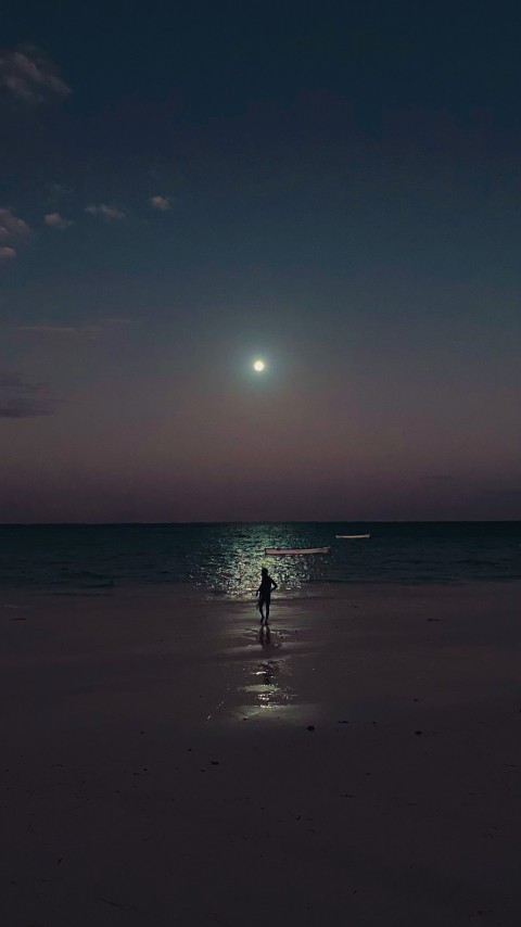 moonshine over the beach at Paje, Zanzibar