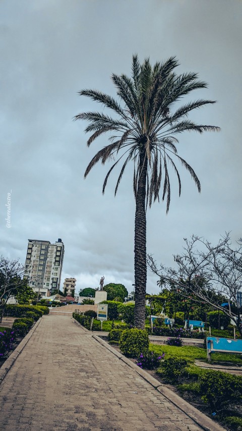 Nyerere Square - Dodoma