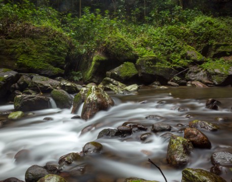 Nature / Landscapes